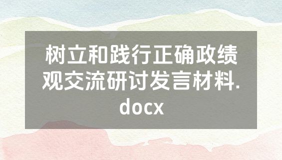 树立和践行正确政绩观交流研讨发言材料.docx