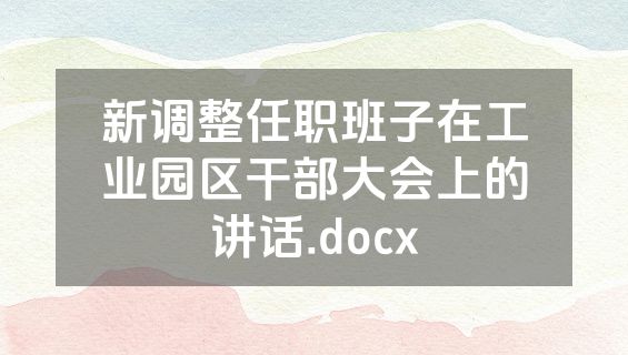 新调整任职班子在工业园区干部大会上的讲话.docx