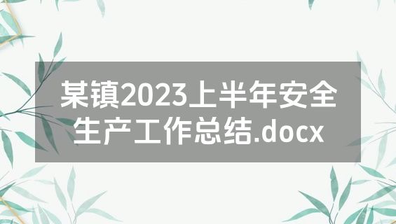 某镇2023上半年安全生产工作总结.docx