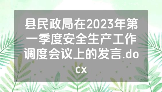 县民政局在2023年第一季度安全生产工作调度会议上的发言.docx