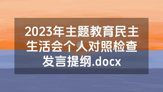 2023年主题教育民主生活会个人对照检查发言提纲.docx