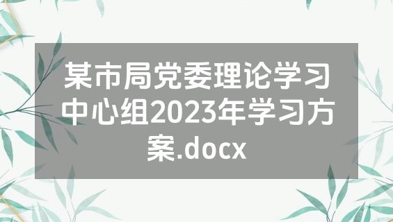 某市局党委理论学习中心组2023年学习方案.docx