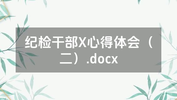 纪检干部X心得体会（二）.docx