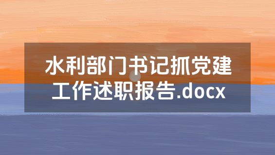 水利部门书记抓党建工作述职报告.docx