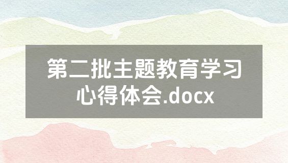第二批主题教育学习心得体会.docx