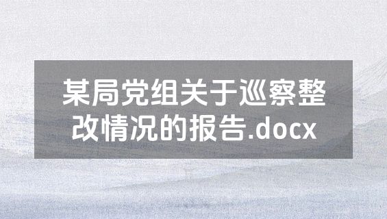 某局党组关于巡察整改情况的报告.docx