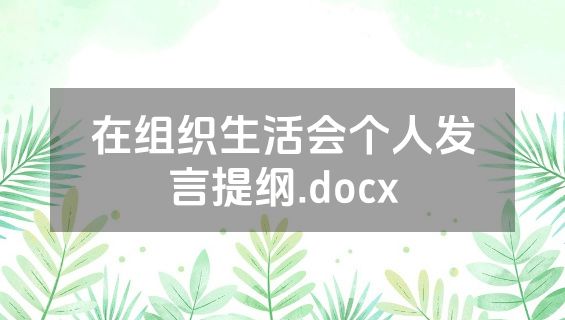 在组织生活会个人发言提纲.docx