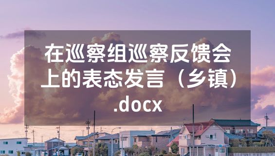 在巡察组巡察反馈会上的表态发言（乡镇）.docx