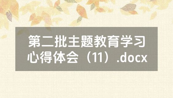 第二批主题教育学习心得体会（11）.docx