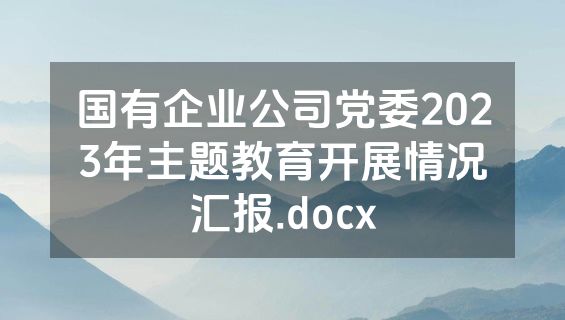 国有企业公司党委2023年主题教育开展情况汇报.docx