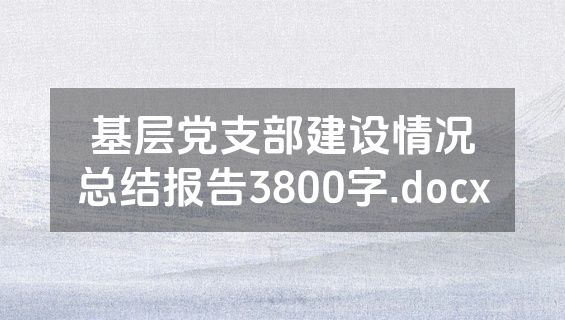 基层党支部建设情况总结报告3800字.docx