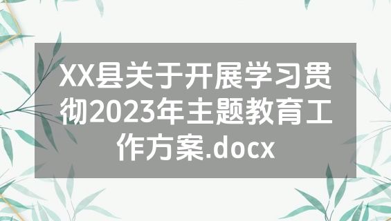 XX县关于开展学习贯彻2023年主题教育工作方案.docx