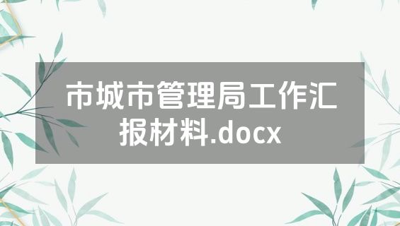 市城市管理局工作汇报材料.docx