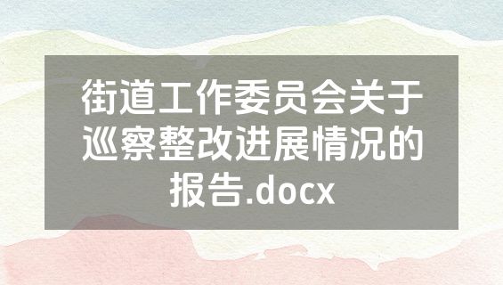 街道工作委员会关于巡察整改进展情况的报告.docx
