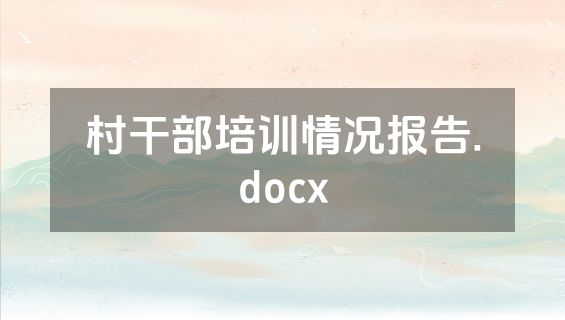 村干部培训情况报告.docx