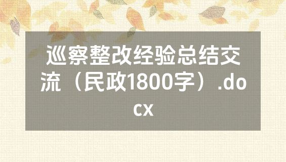 巡察整改经验总结交流（民政1800字）.docx