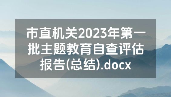 市直机关2023年第一批主题教育自查评估报告(总结).docx