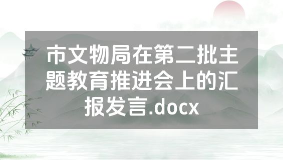 市文物局在第二批主题教育推进会上的汇报发言.docx
