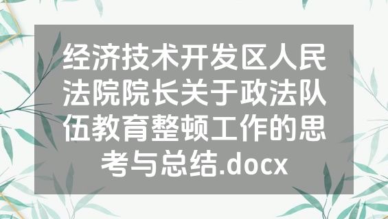 经济技术开发区人民法院院长关于政法队伍教育整顿工作的思考与总结.docx