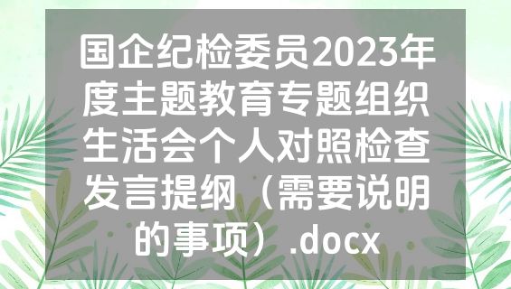 国企纪检委员2023年度主题教育专题组织生活会个人对照检查发言提纲（需要说明的事项）.docx