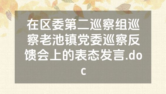 在区委第二巡察组巡察老池镇党委巡察反馈会上的表态发言.doc