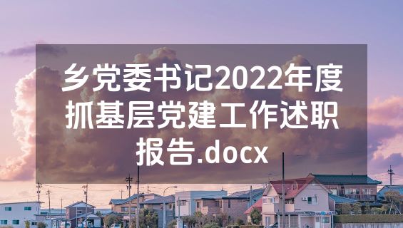 乡党委书记2022年度抓基层党建工作述职报告.docx