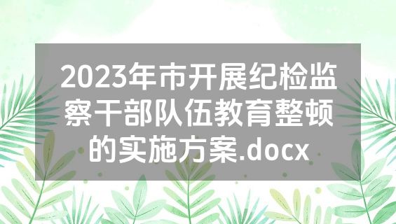 2023年市开展纪检监察干部队伍教育整顿的实施方案.docx