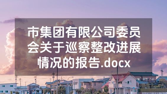市集团有限公司委员会关于巡察整改进展情况的报告.docx