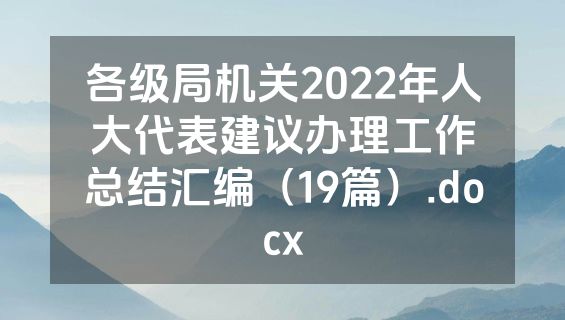 各级局机关2022年人大代表建议办理工作总结汇编（19篇）.docx