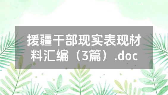 援疆干部现实表现材料汇编（3篇）.doc