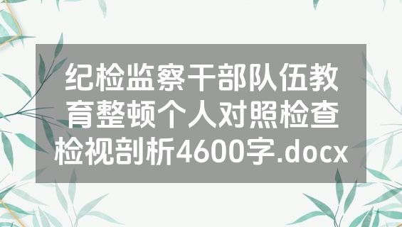 纪检监察干部队伍教育整顿个人对照检查检视剖析4600字.docx