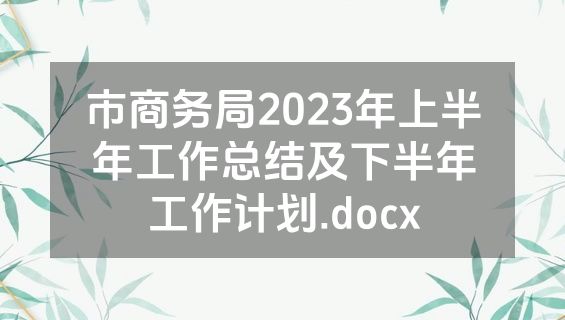 市商务局2023年上半年工作总结及下半年工作计划.docx
