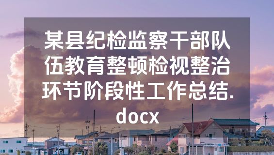 某县纪检监察干部队伍教育整顿检视整治环节阶段性工作总结.docx