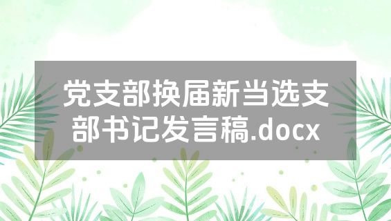 党支部换届新当选支部书记发言稿.docx