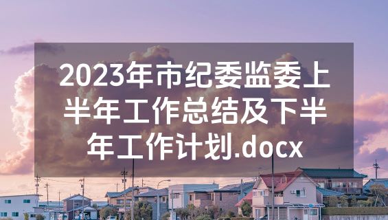 2023年市纪委监委上半年工作总结及下半年工作计划.docx