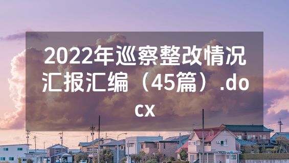 2022年巡察整改情况汇报汇编（45篇）.docx