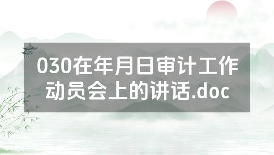 030在年月日审计工作动员会上的讲话.doc
