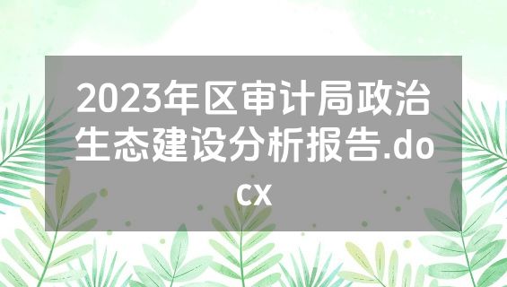 2023年区审计局政治生态建设分析报告.docx
