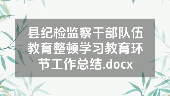 县纪检监察干部队伍教育整顿学习教育环节工作总结.docx