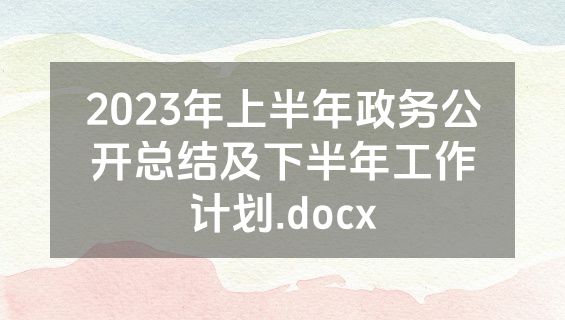 2023年上半年政务公开总结及下半年工作计划.docx