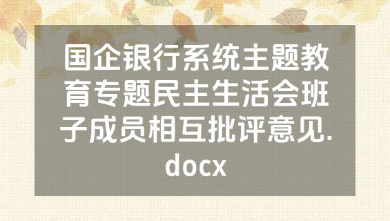 国企银行系统主题教育专题民主生活会班子成员相互批评意见.docx