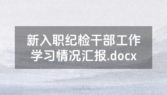 新入职纪检干部工作学习情况汇报.docx