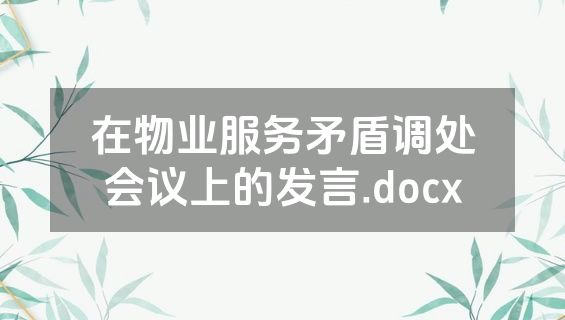 在物业服务矛盾调处会议上的发言.docx