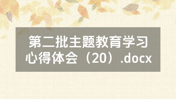 第二批主题教育学习心得体会（20）.docx