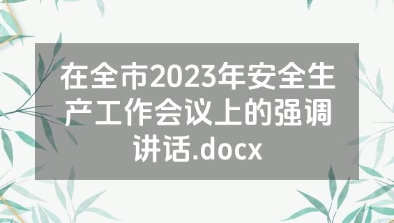 在全市2023年安全生产工作会议上的强调讲话.docx