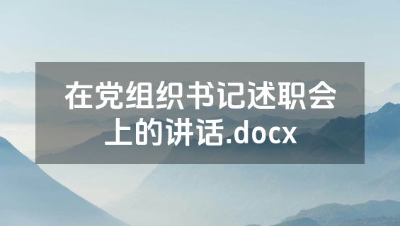 在党组织书记述职会上的讲话.docx
