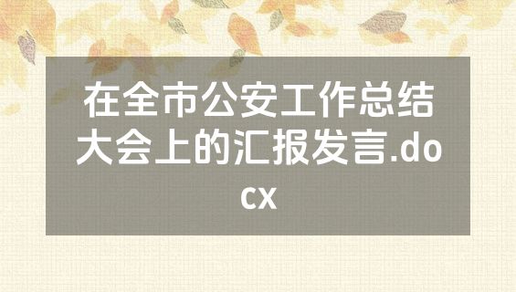 在全市公安工作总结大会上的汇报发言.docx