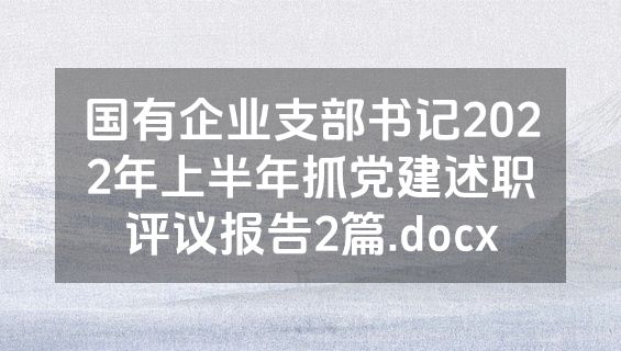 国有企业支部书记2022年上半年抓党建述职评议报告2篇.docx