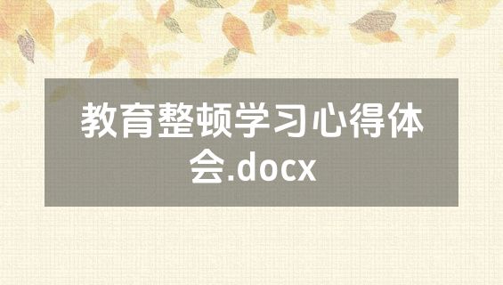 教育整顿学习心得体会.docx
