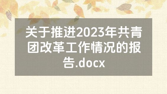 关于推进2023年共青团改革工作情况的报告.docx